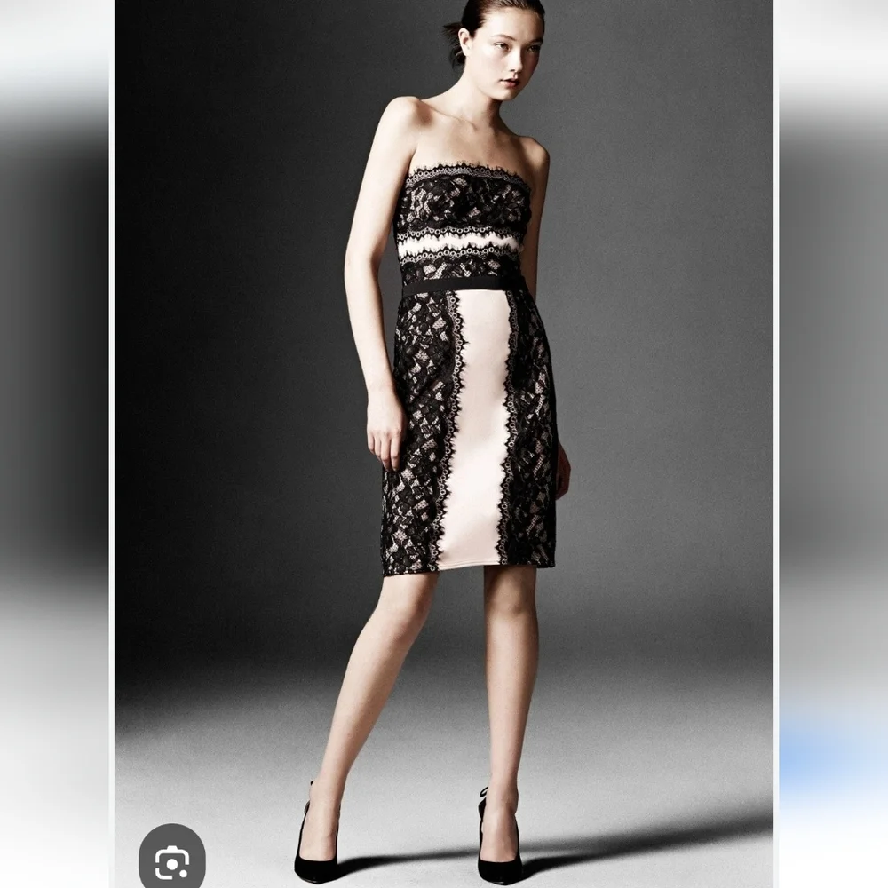 TADASHI SHOJI SHEATH LACE STRAPLE DRESS BLACK & NUDE TONE SIZE 2 - Picture 2 of 13